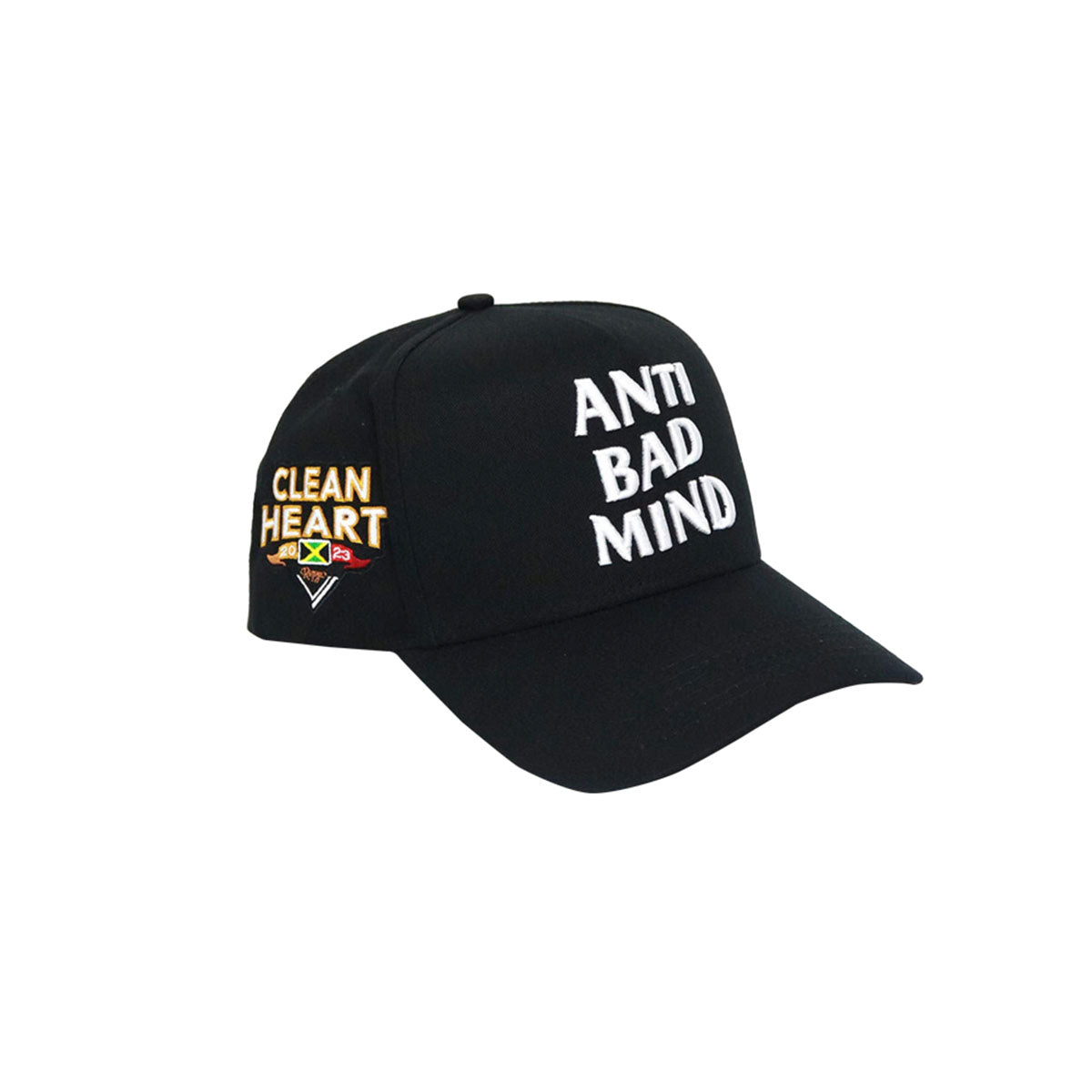 Anti Badmind™ (3D Raised Hat) – RepJA
